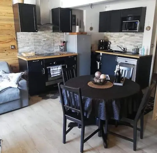 Station Les Deux Alpes, Le Refuge Du Diable, Front De Neige, 4/6 Personnes Daire